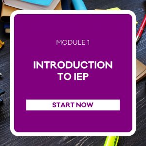 Introduction to the IEP